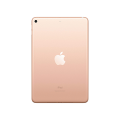 iPad mini 5th generation